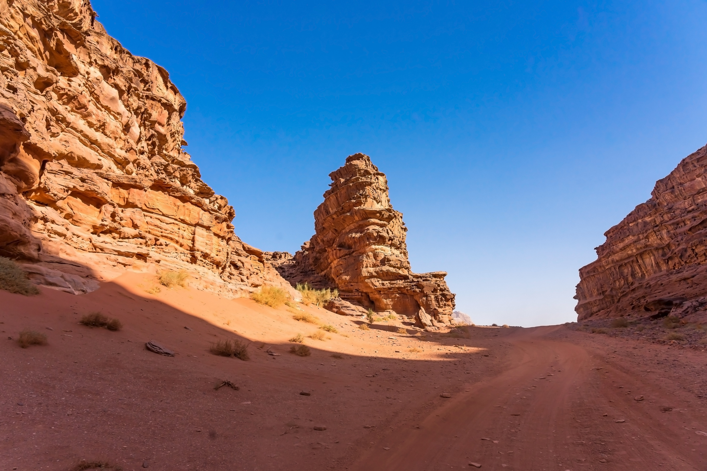 wadi rum desert & protected area.webp